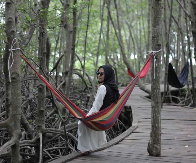 Hutan mangrove gebang pesawaran
