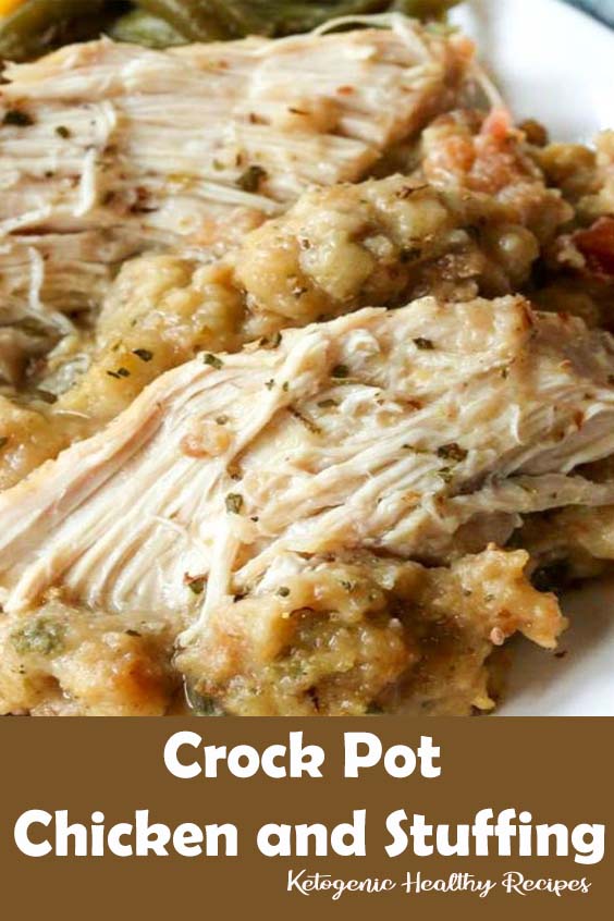 Crock Pot Chicken and Stuffing VEGAN RECIPES