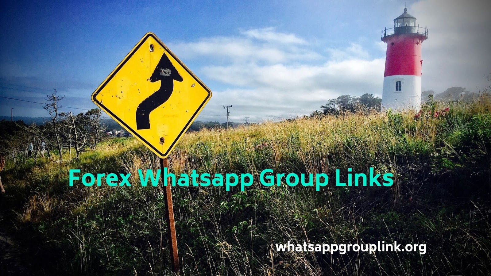 Forex signal whatsapp group link