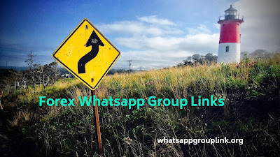 Forex Whatsapp group Links www.whatsappgrouplink.org