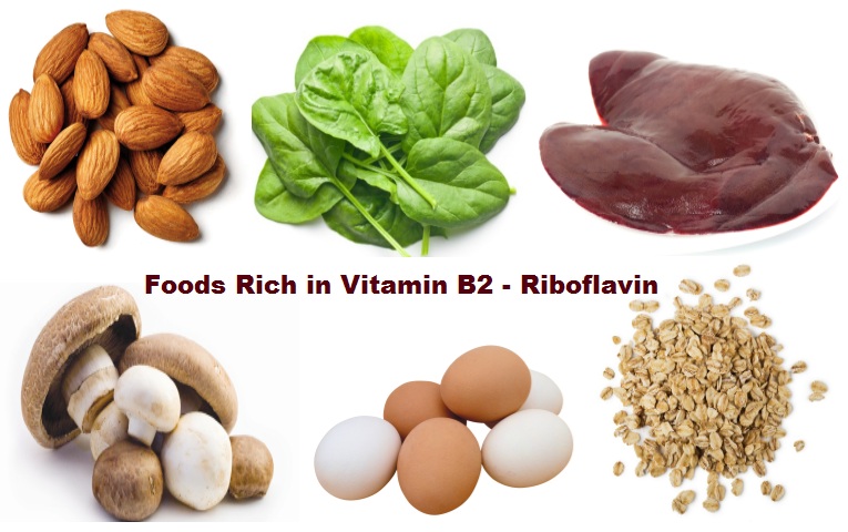 Macam Jenis Vitamin B2 Riboflavin Beserta Fungsi Dan Manfaatnya