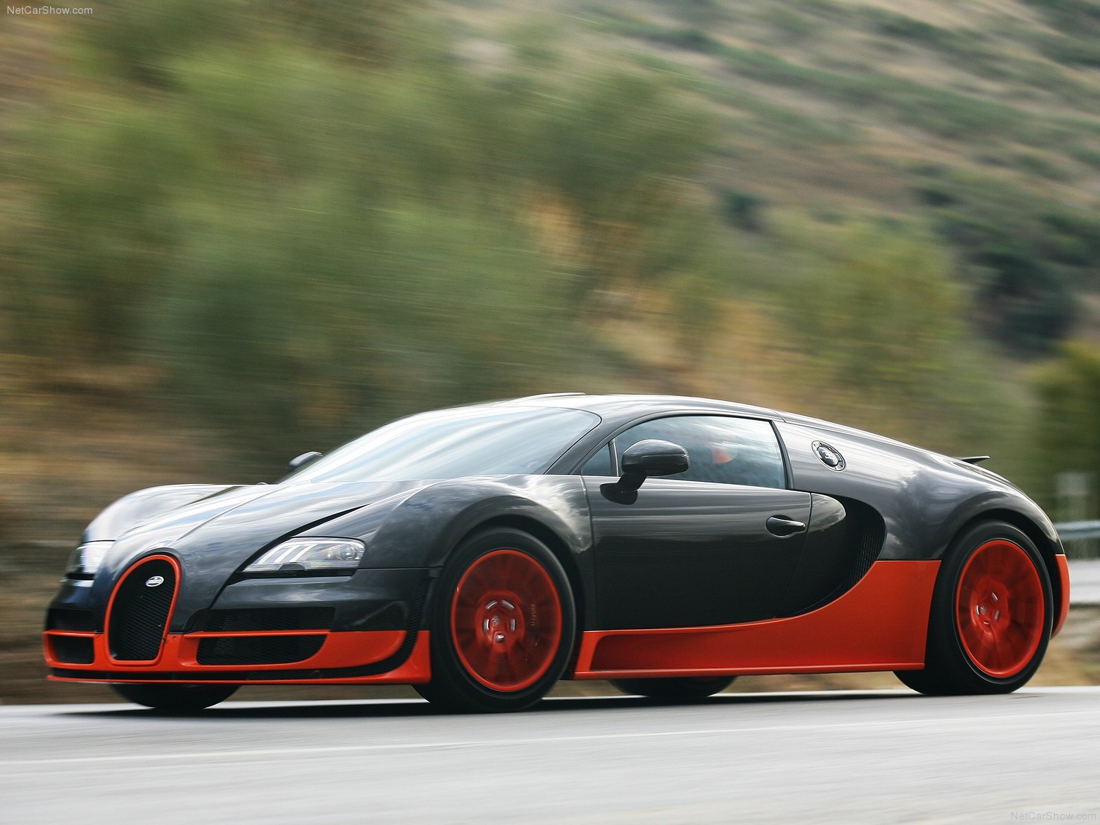 Bugatti Veyron Super Sport (2011)