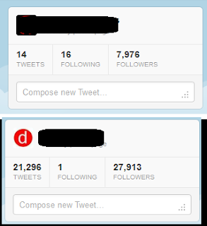 fake twitter follower instan