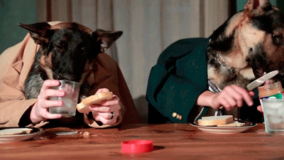 lunch-dogs.gif