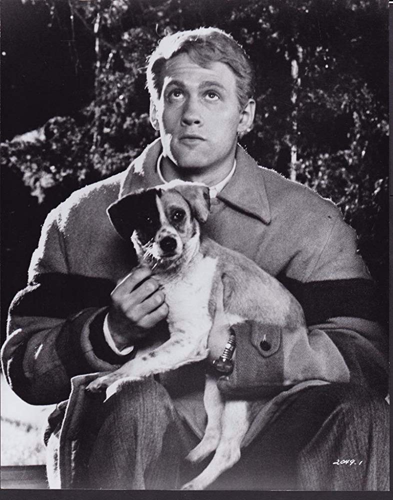 New on Bluray SLAUGHTERHOUSEFIVE (1972) Special Edition The