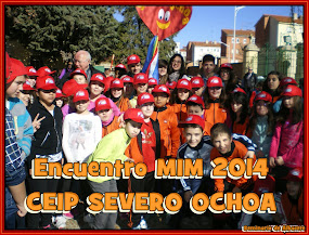 Encuentros MIM 2014