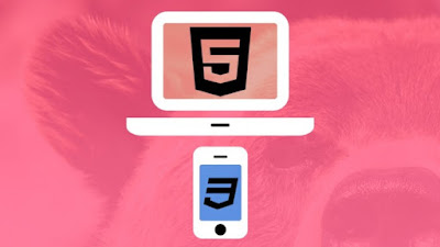 best responsive design course for frontend develoeprs