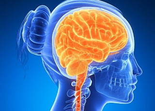 Como desarrollar y aumentar el poder de la mente Como desarrollar y aumentar el poder de la mente