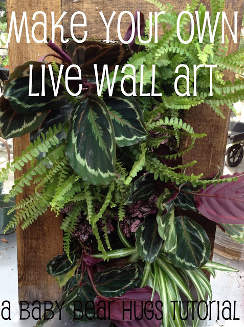 living wall art DIY tutorial framed indoor garden grovert