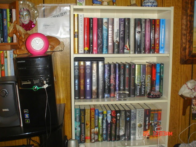 One of Many Bookshelves