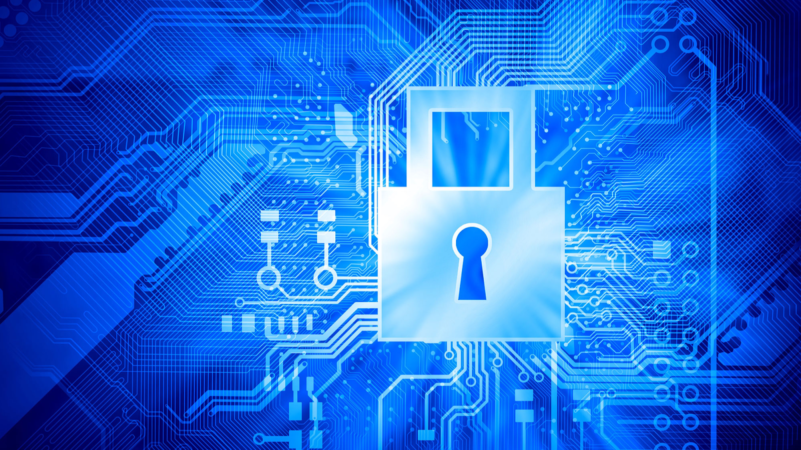 Cybersecurity Roles and Responsibilities Private Sector Perspective