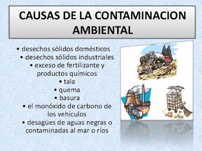 causas de la contaminacion ambiental