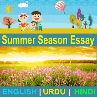 My favourite season summer essay for class 4 picture