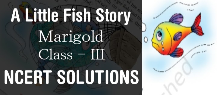 NCERT Solutions Class 3 English Unit 4 A Little Fish Story - Download PDF