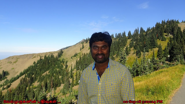 Hiking at Hurricane Ridge