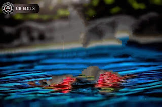New CB Background HD Photo For Picsart Editing Download Zip -- new hd cb background pic New CB Background HD Photo For Picsart Editing Download Zip -- new hd cb background pic