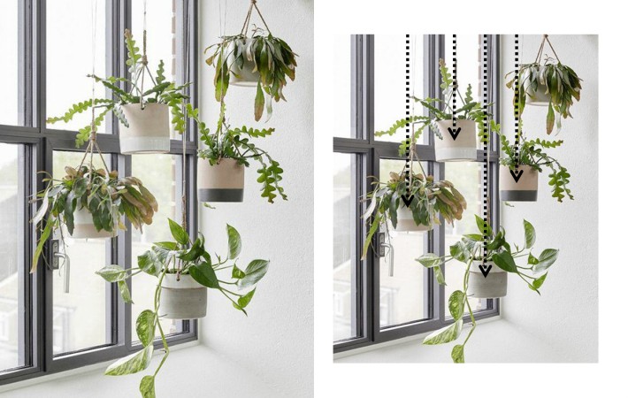 Cómo hacer composiciones con plantas