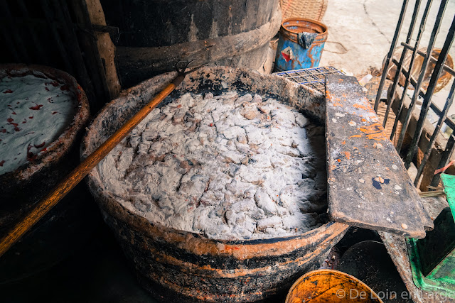 Campagne de Battambang - Cambodge