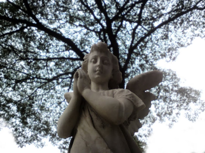 Angel rests in the Consolation Cemetery, São Paulo/Brazil. Anjo descansa no Cemitério da Consolação