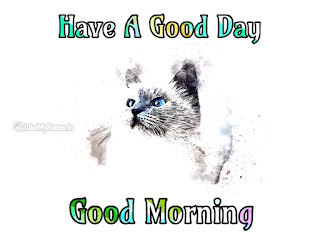 Good morning cat image
