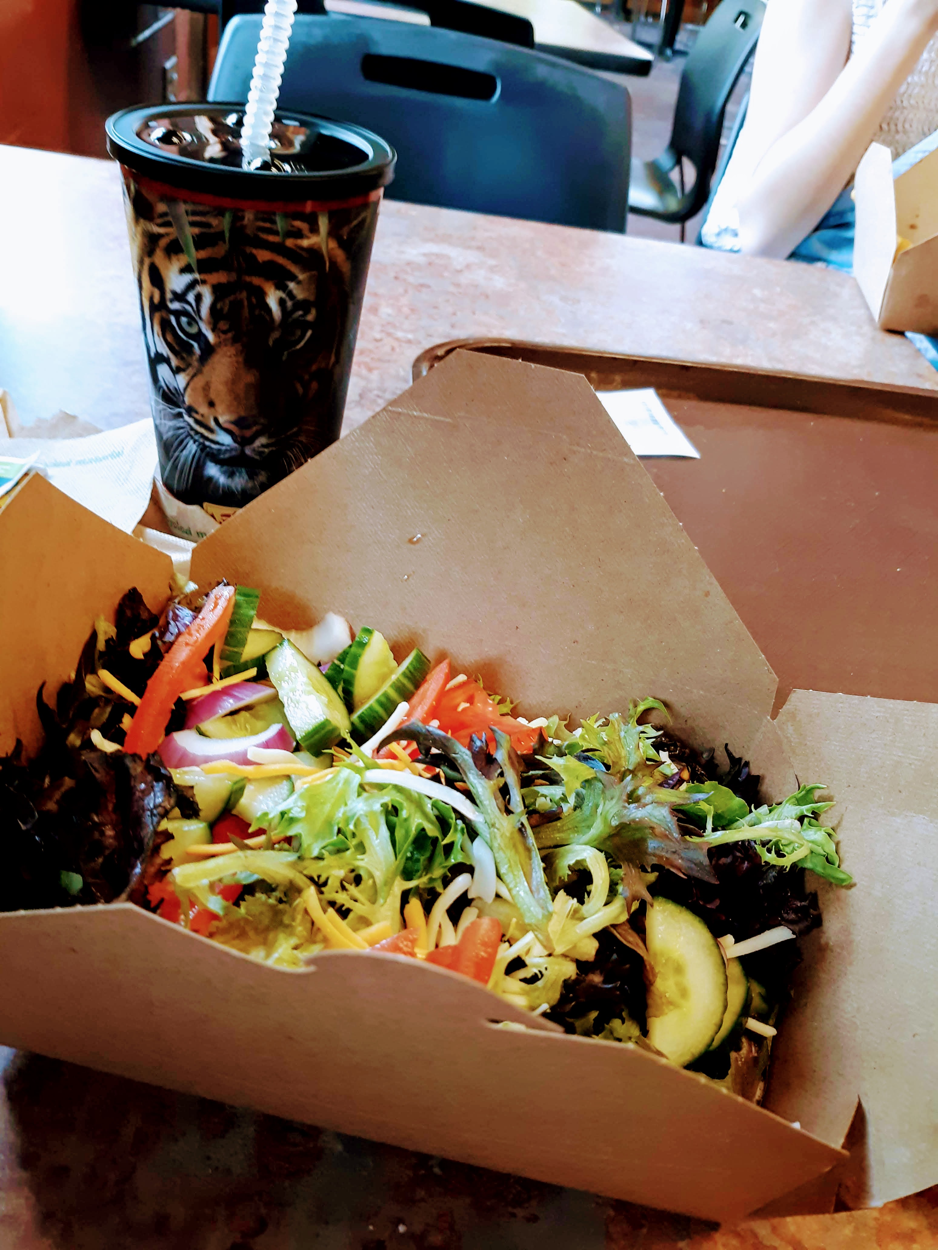 Living Better One Day At A Time Akron Zoo (lots of photos)