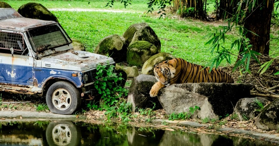 Dunia Anakku: Tempat menarik di Melaka - Safari Wonderland, A Famosa Resort