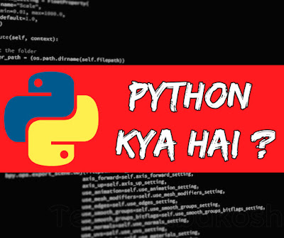 Python Meaning in hindi