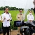 Diunggulkan Jokowi-Prabowo, Lumbung Pangan di Kalteng Terancam Gagal Panen
