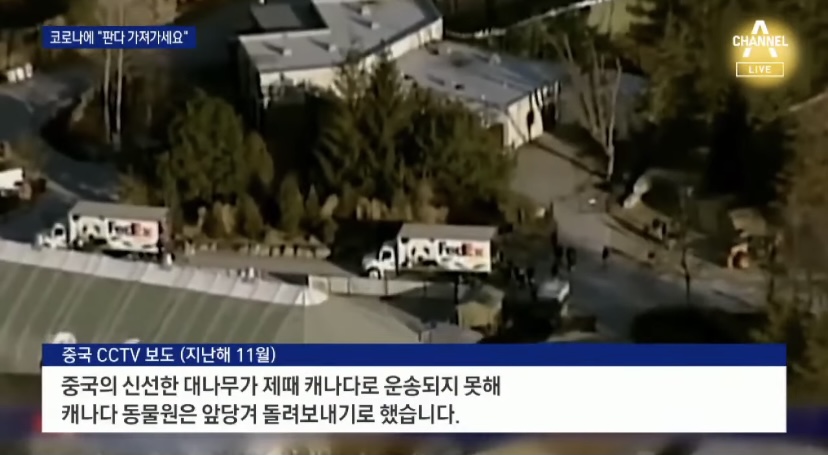 15억짜리 돈먹는 판다 - 꾸르