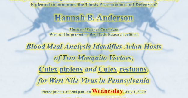 Hannah morgan thesis 05 image