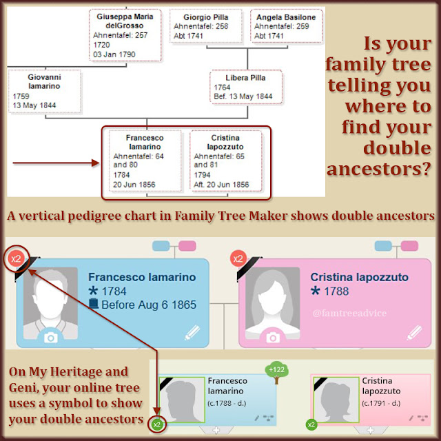 Check your family tree for hints that you have double ancestors.