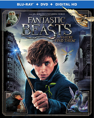 Fantastic Beasts and Where to Find Them (2016) 1080p BDRip Dual Audio Latino-Inglés (Fantástico. Aventuras)