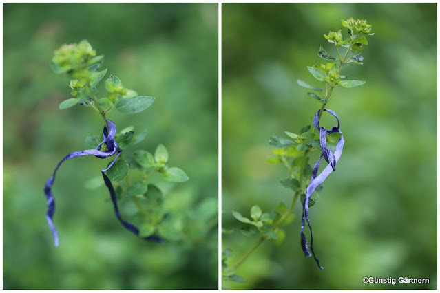 Einkaufen In Bangkok Thailand Bereisen Gut Informiert