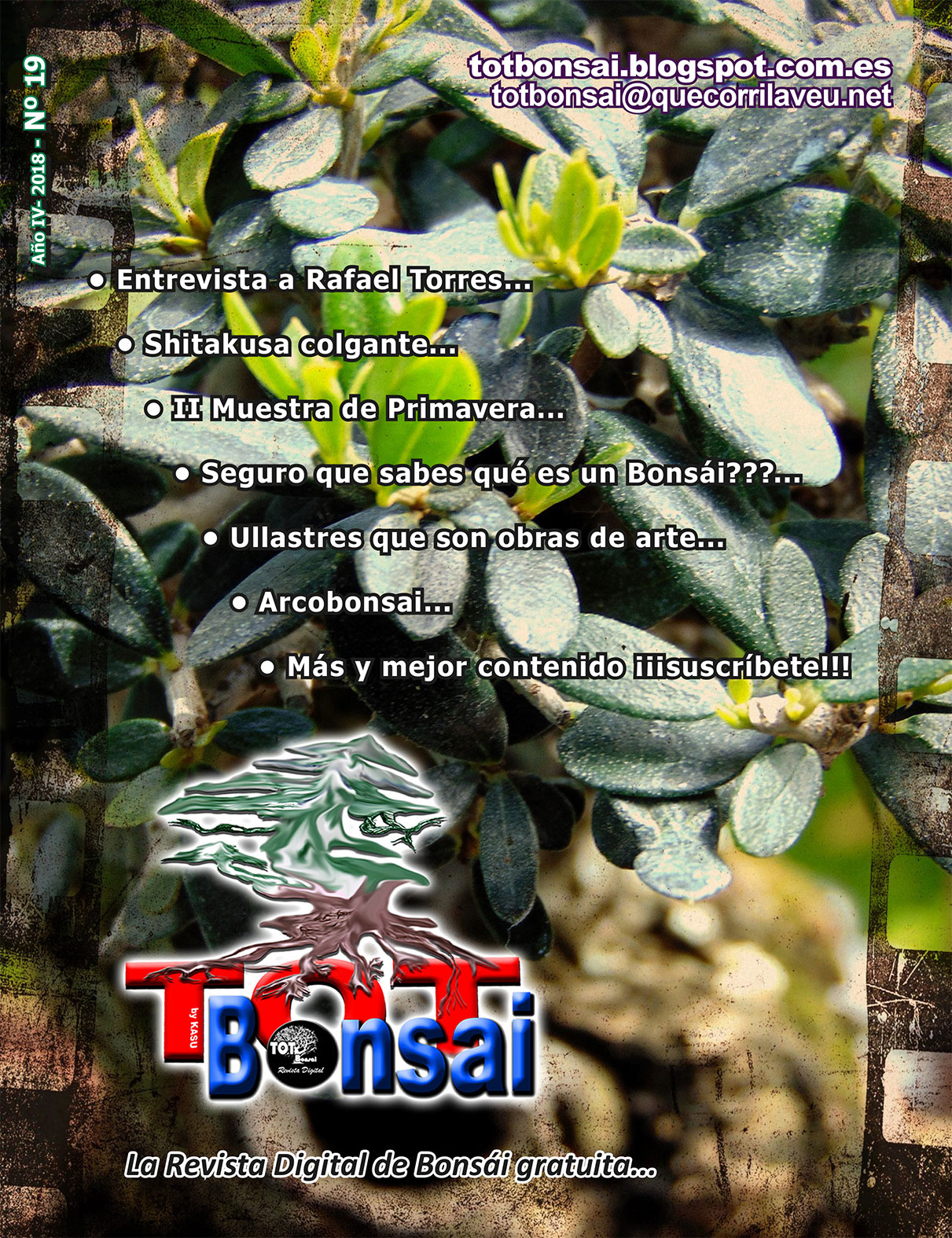 DR TOT Bonsai Nº 19