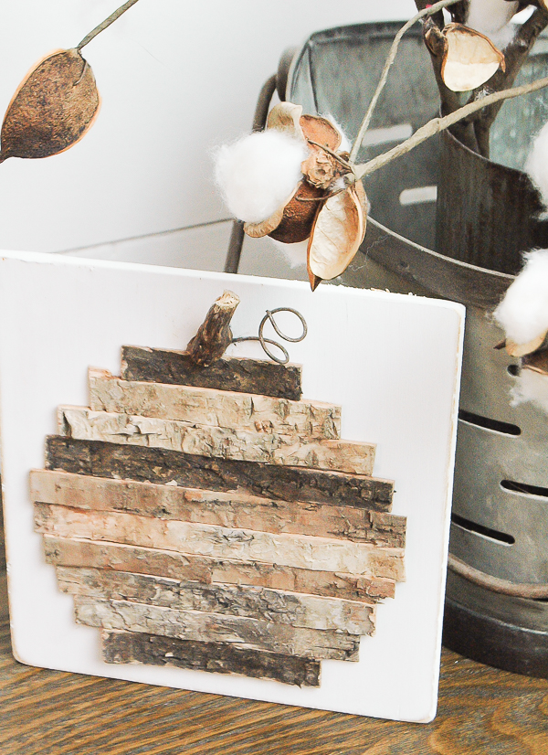 Natural Birch Bark Pumpkin Art Little House of Four Creating a