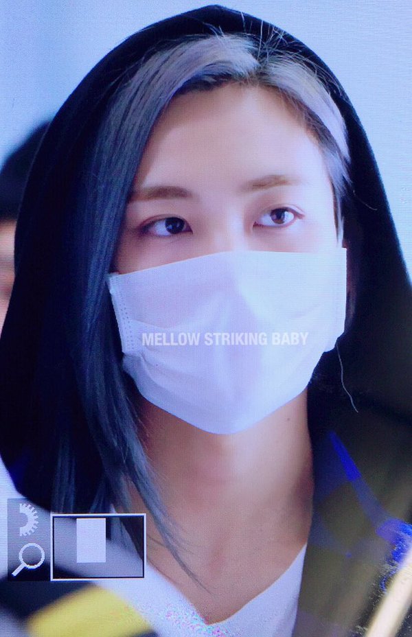 오늘자 세븐틴 버논, 조슈아, 정한 (MAMA 공항) | 인스티즈