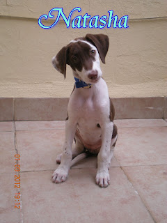 DSCN1028.JPG