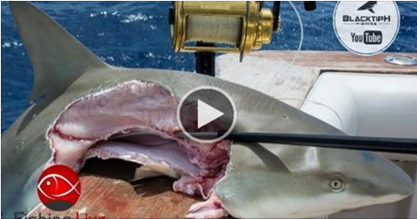 Slots gratis para diversao Jalapeno Racers