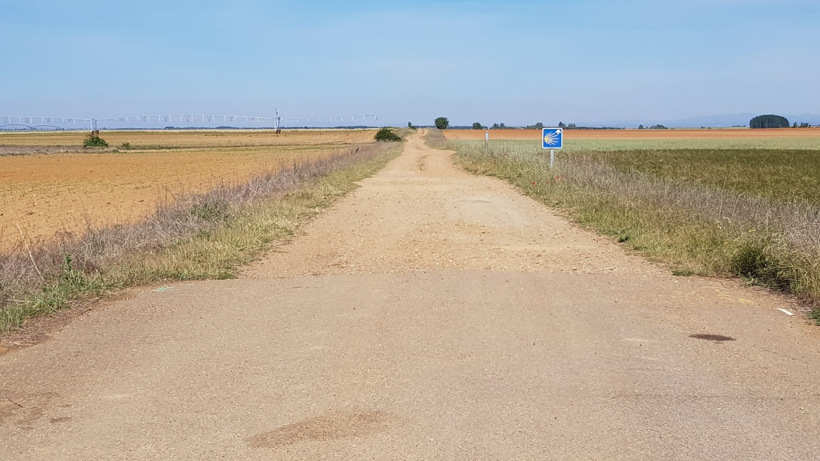 News Schnuppertag Fur Studenten Der Paracelsus Medizinischen