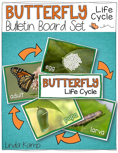 Around the Kampfire Butterfly Life Cycle Resources & Free Printables
