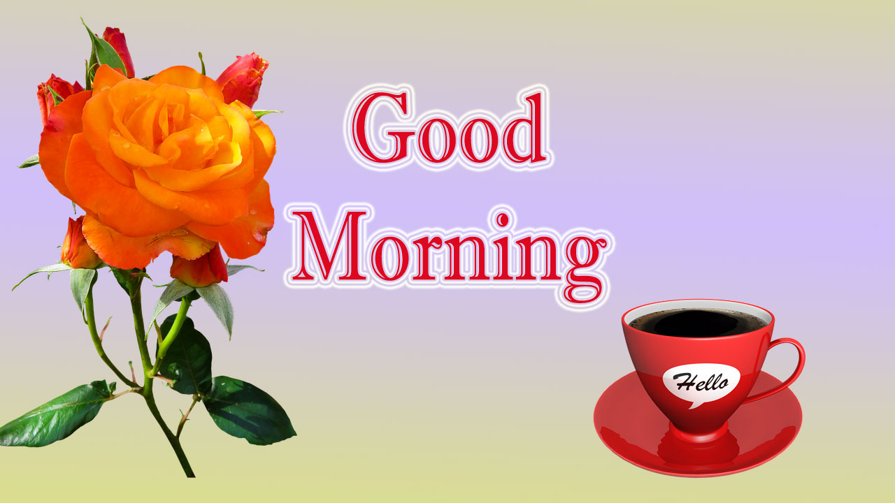 Good Morning HD Picture SMS | Morning Pictures free download ...