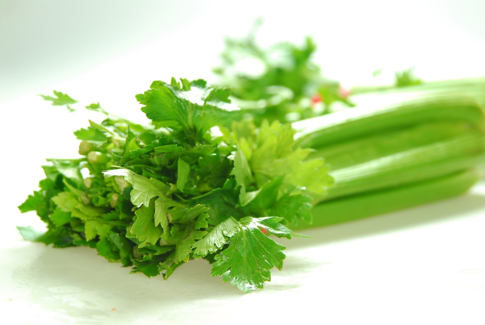 Isla Kulinarya Celery helps lower blood pressure