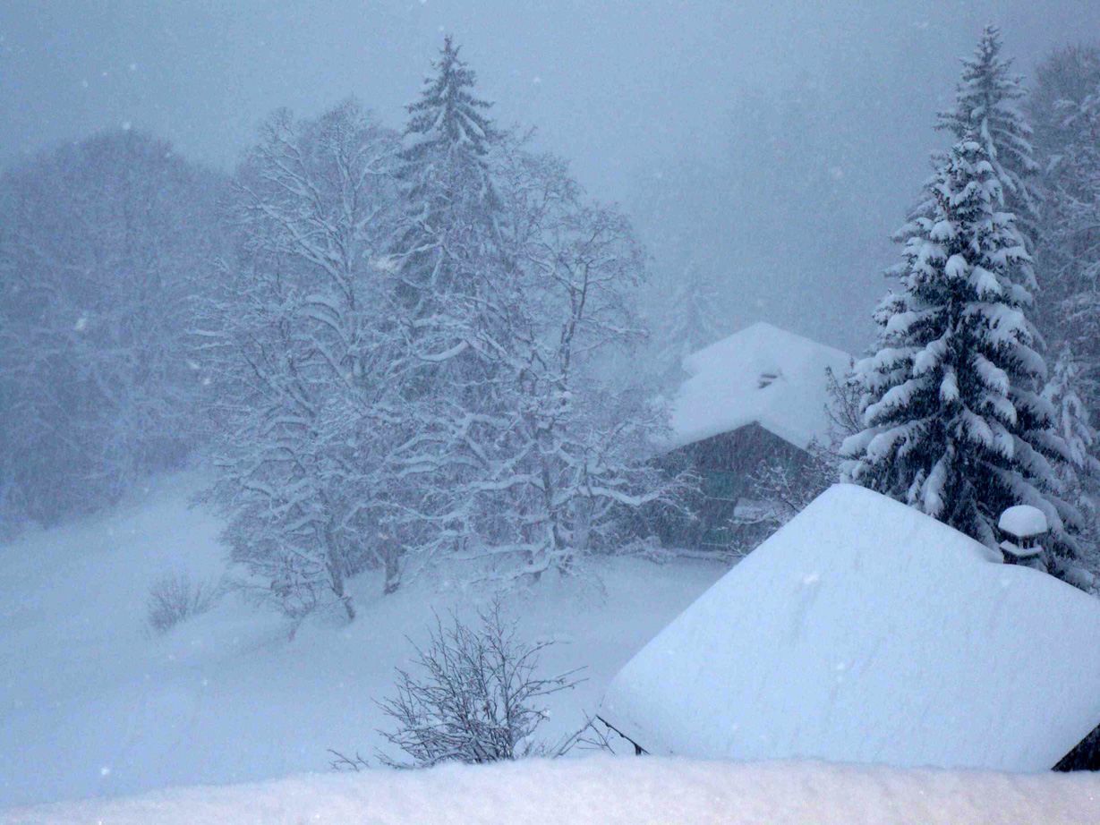 Landlust stricken wortfeiler: Dezember 2011