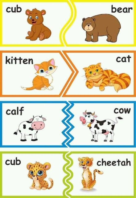 Printable Flashcards Animals And Their Babies Part 1 - vrogue.co