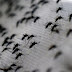 Veracruz, entre los estados más afectados por dengue
