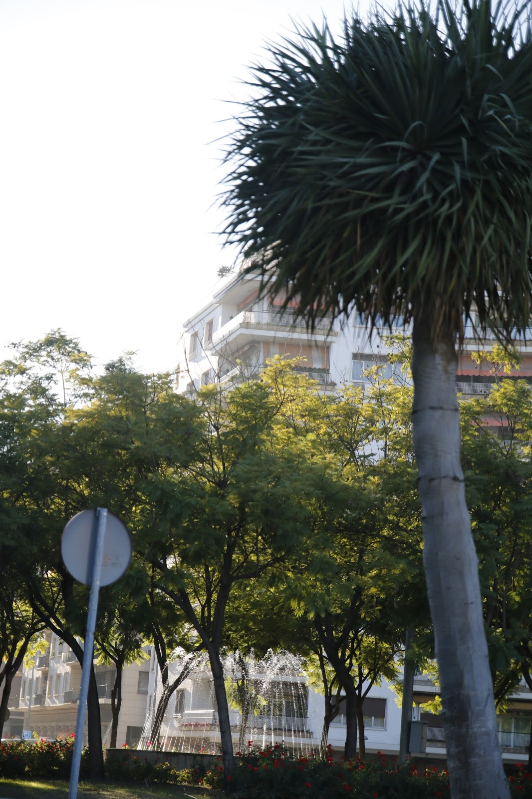 curiosa Sevilla Plaza de Cuba