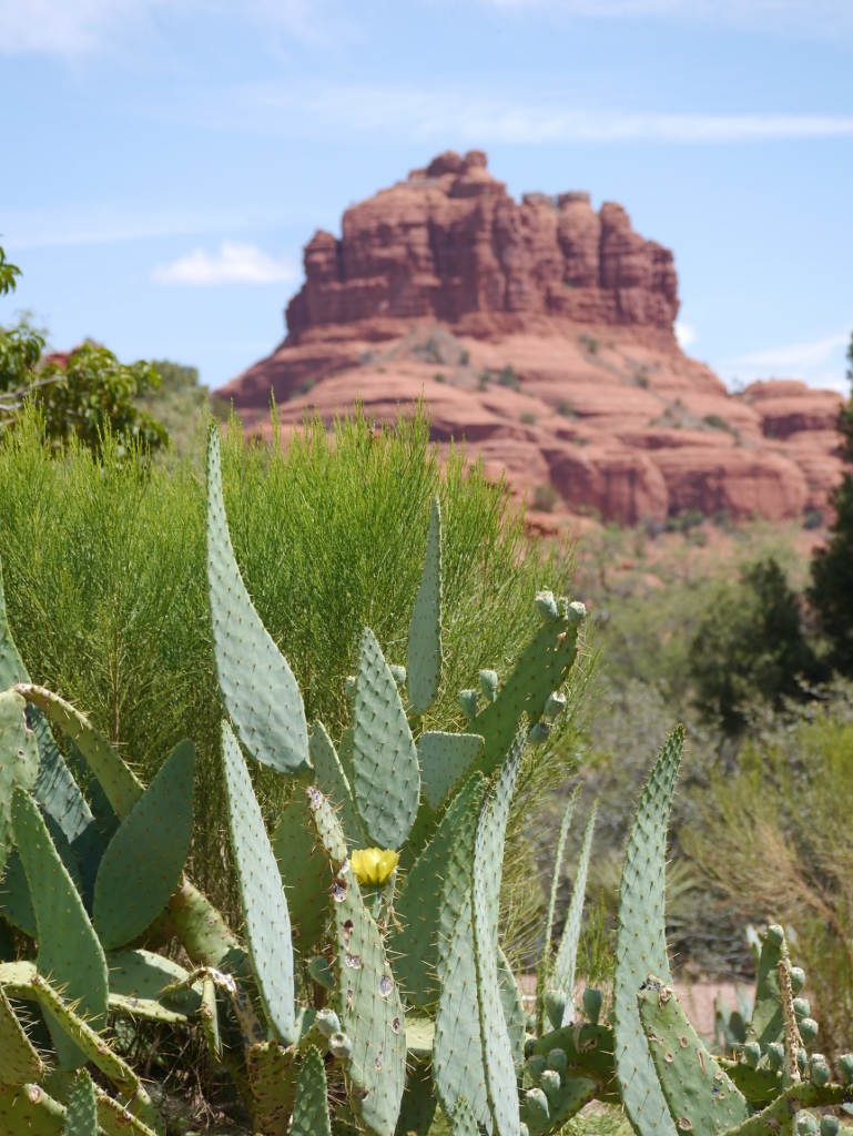  Sedona Arizona Bell Rock