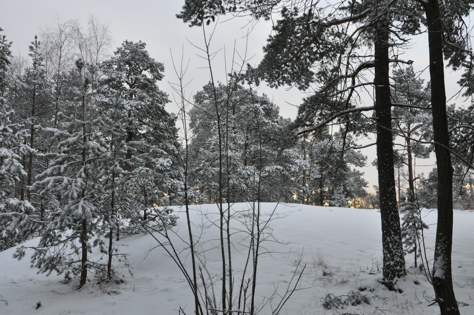 If It s Cold It s Helsinki January 2012