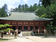 ����߉ޓ�