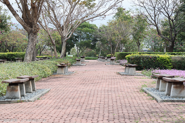 台中后里景點|后里花田綠廊|環保公園|1.2公頃繽紛花海|棒棒糖花海 台中后里景點|后里花田綠廊|環保公園|1.2公頃繽紛花海|棒棒糖花海